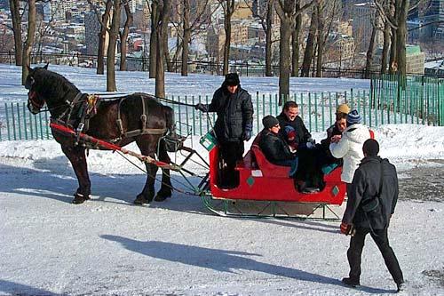 caleche_mont_royal caleche_mont_royal