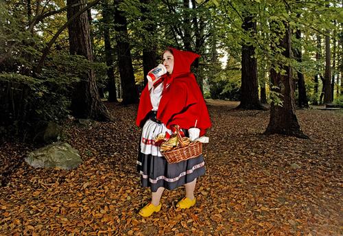 Dina Goldstein - Fallen Princesses Dina Goldstein - Fallen Princesses