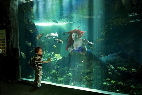 Dina Goldstein - Fallen Princesses Dina Goldstein - Fallen Princesses