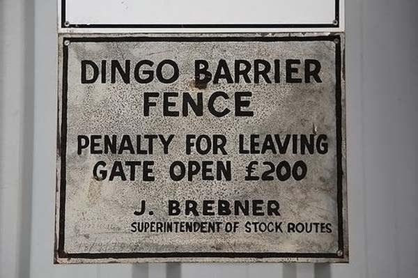 La clôture anti-dingo