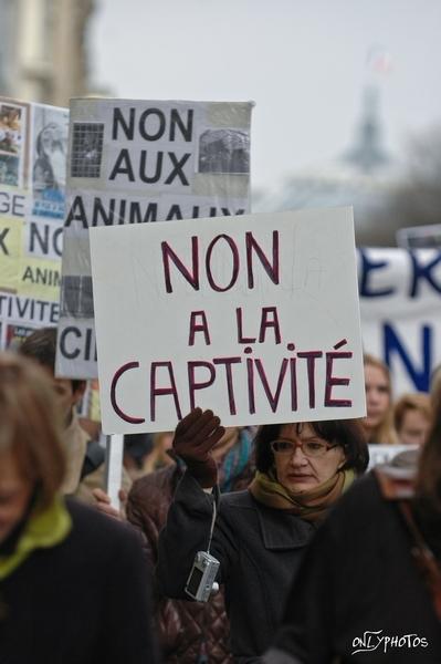 Pêle-Mêle : Manif anti Pécresse, Manif pour les animaux ....