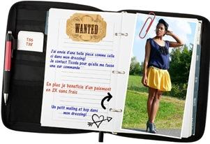 wanted_Antoinette wanted_Antoinette