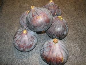 Tartelettes à la compotée de figues et miel P1010001