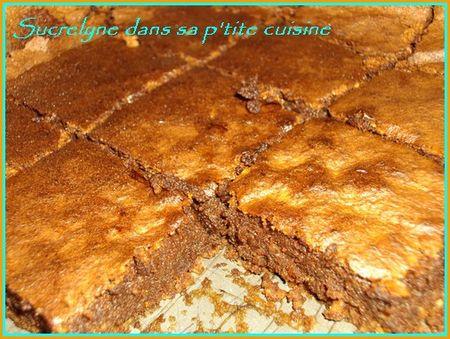 Gâteau mousseux au chocolat DSC02000