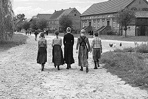 Le Ruban blanc / Weiße Band / Michael Haneke
