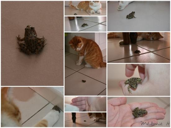 comme une offrande comme une offrande