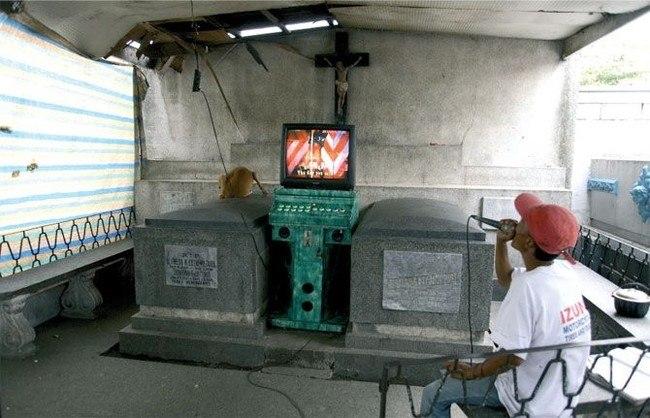 Vivants parmi les morts Vivants parmi les morts