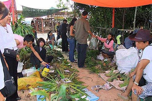 Udonthani: Des orchidées vendues au kilo.