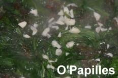 Epinards et lentilles aux épices epinards-lentilles-epices02.jpg