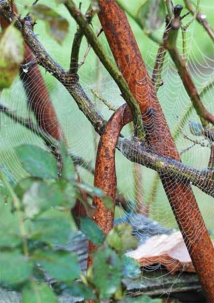 L'automne, un hamac mou dans la brume matinale L'automne, un hamac mou dans la brume matinale