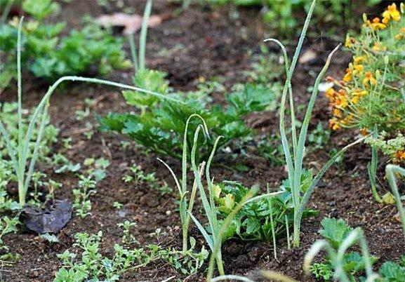 L'automne, un hamac mou dans la brume matinale L'automne, un hamac mou dans la brume matinale