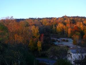 P1050838mod P1050838mod