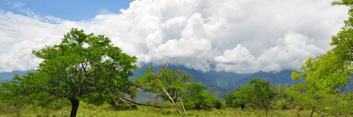 Barichara
