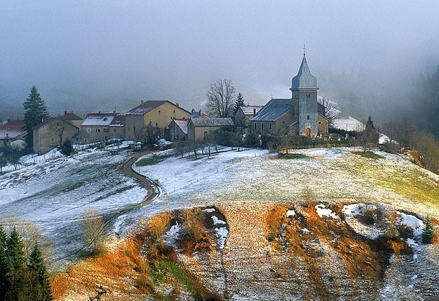 MICHEL LOUP