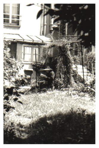 C'était un petit jardin ... C'était un petit jardin ...