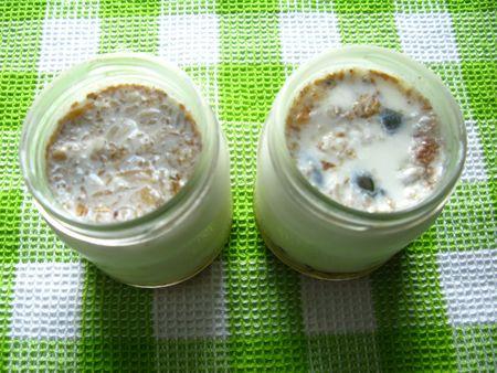 Yaourts au muesli, fruits secs et sirop d'érable IMG_4457