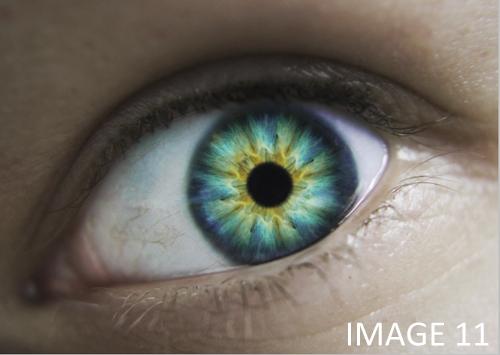 Photomanip ></div> Les yeux et vous