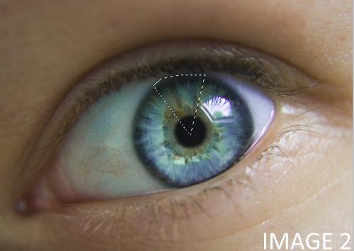 Photomanip ></div> Les yeux et vous