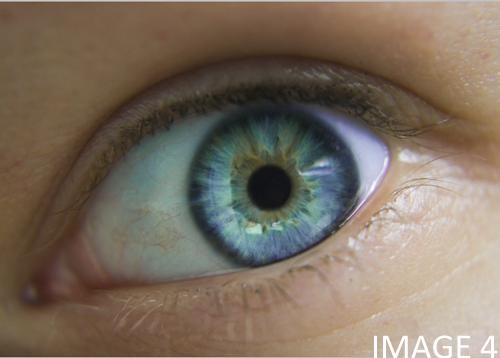 Photomanip ></div> Les yeux et vous