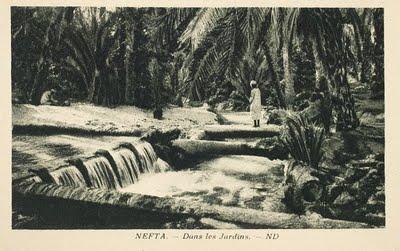 A Nefta, sous l’Ombre des Palmiers