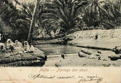 A Nefta, sous l’Ombre des Palmiers