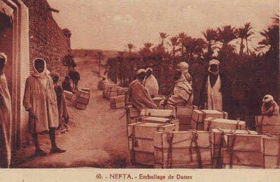 A Nefta, sous l’Ombre des Palmiers
