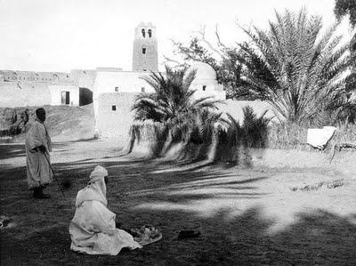 A Nefta, sous l’Ombre des Palmiers