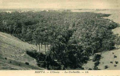 A Nefta, sous l’Ombre des Palmiers