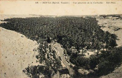 A Nefta, sous l’Ombre des Palmiers