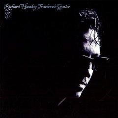 Richard Hawley - Truelove's Gutter