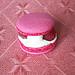 Macaron vanille framboise blog