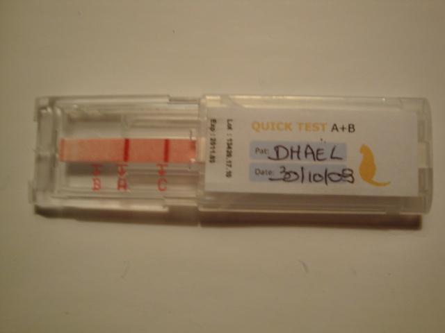 J-6 et test sanguin :) J-6 et test sanguin :)