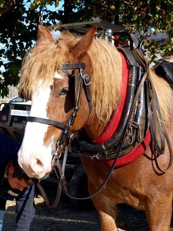 Quelques photos du Médoc 773