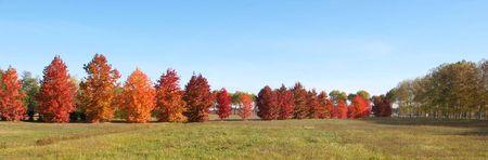 Quelques photos du Médoc 791