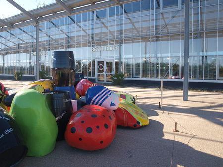 Quelques photos du Médoc 805