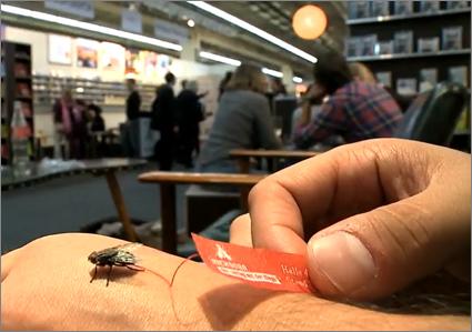 Mouche à pubs… Mouche à pubs…