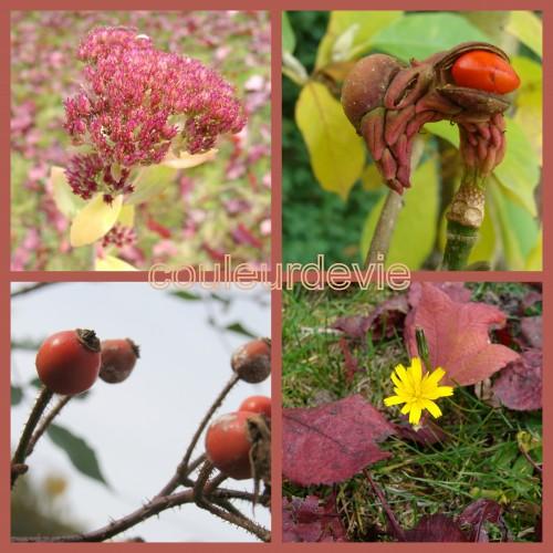 Raccourci BlogCouleur1-5 Raccourci BlogCouleur1-5