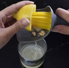 Objets et merveilles presse-citron-2.png