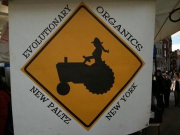 brooklyn-6