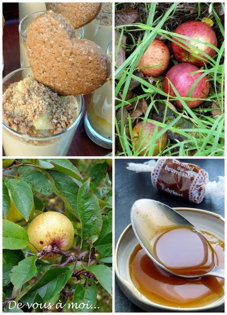 Verrine à la Pomme Epicée, Caramel au Beurre Salé et Spéculoos