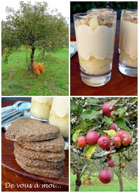 Verrine à la Pomme Epicée, Caramel au Beurre Salé et Spéculoos