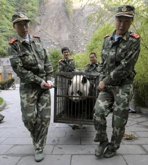 En voie de disparition(2) En voie de disparition(2)