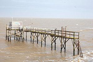 Les ressources de la langue et du larynx... Les ressources de la langue et du larynx...