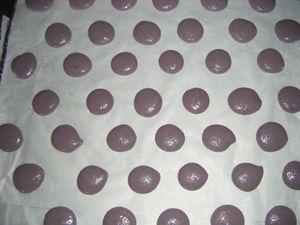 Macarons à la confiture de myrtilles DSCF2493