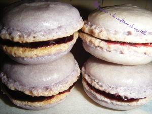 Macarons à la confiture de myrtilles DSCF2525
