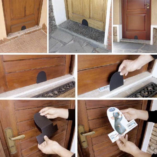 Ratatouille envahit les maisons Ratatouille envahit les maisons