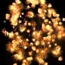 Le plus grand feu d'artifice au monde Le plus grand feu d'artifice au monde