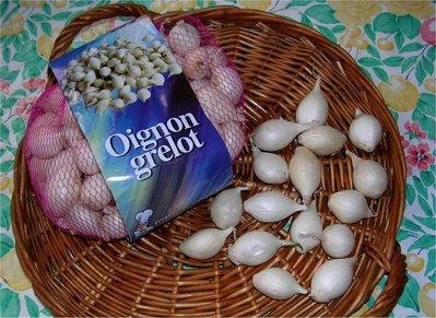 Conserves cornichons et petits oignons grelots Conserves cornichons et petits oignons grelots