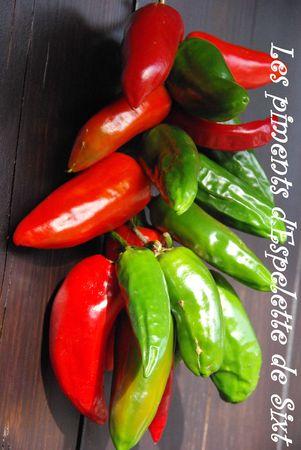 Gelée au piment d'Espelette Les_piments_d_Espelette_de_Sixt