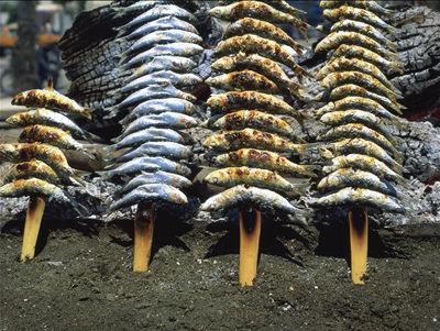 Le pouvoir des sardines